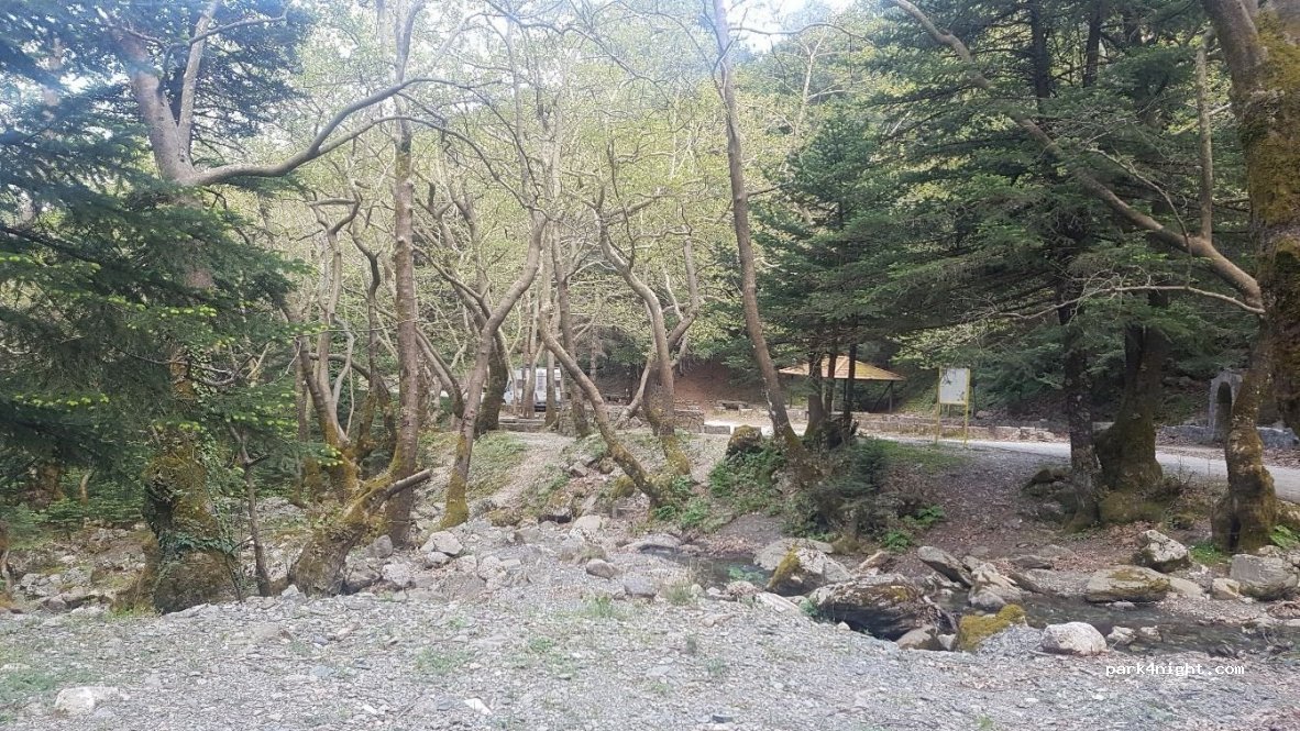 (230 54) Farida - Unnamed Road — foto 2