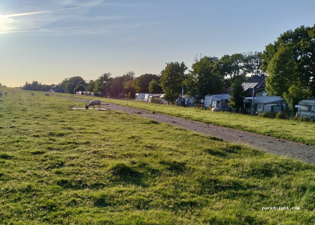Elbdeich-Camping Kollmar — foto 4