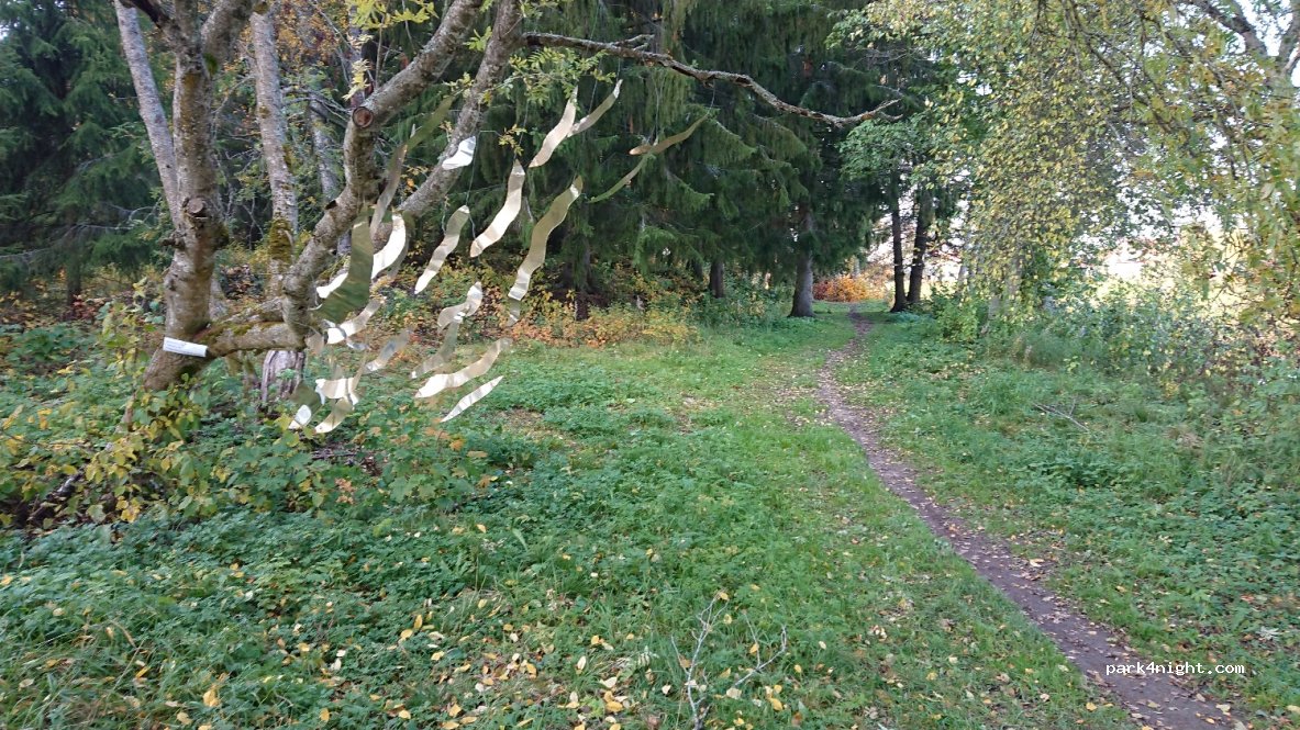 (66500) Vaasa - 7 Kaavontönkkä — foto 2
