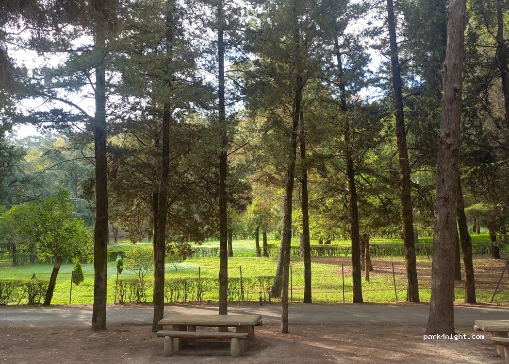(94100) Enna - Trazzera Regia Portella Ronza — foto 3