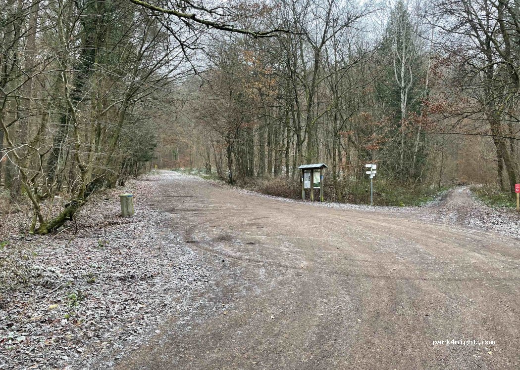 (36088) Hünfeld - L3173 — foto 2