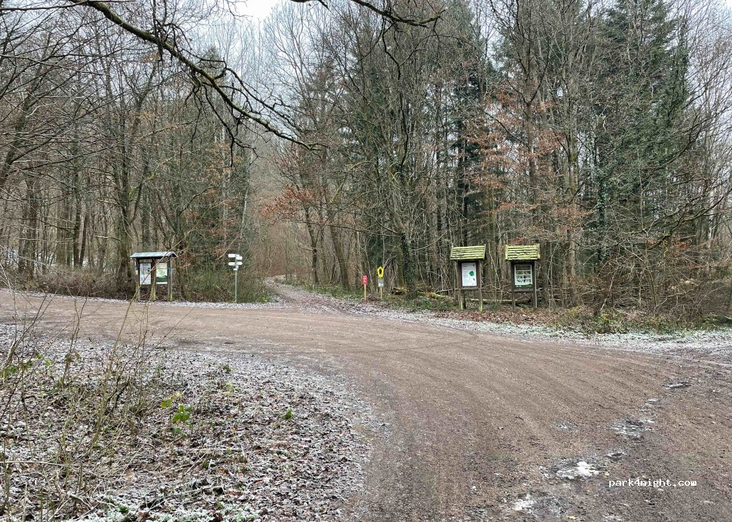 (36088) Hünfeld - L3173 — foto 3
