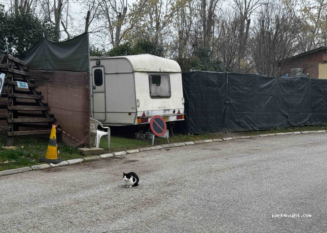 Camping Internacional Aranjuez — foto 5