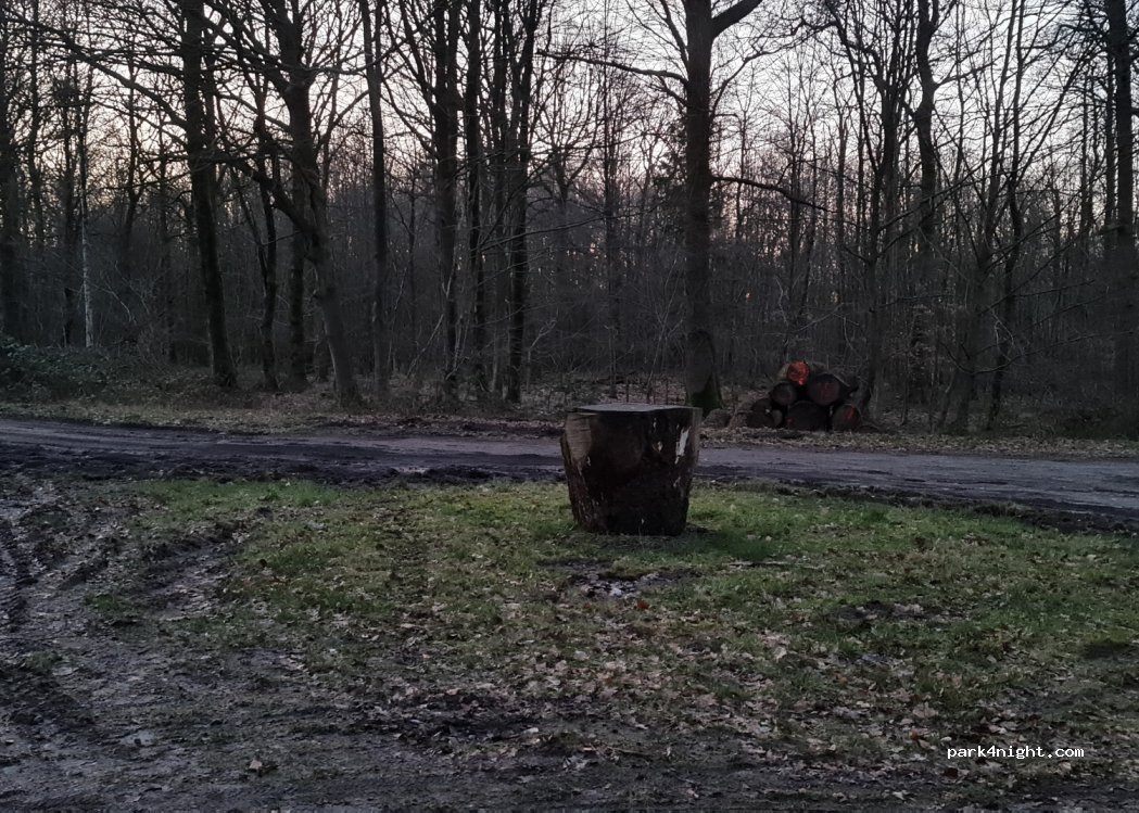 (25876) Schwabstedt - K31 — foto 3