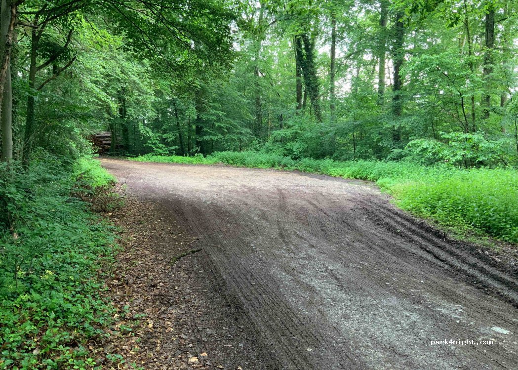 (78224) Singen (Hohentwiel) - K6164 — foto 2