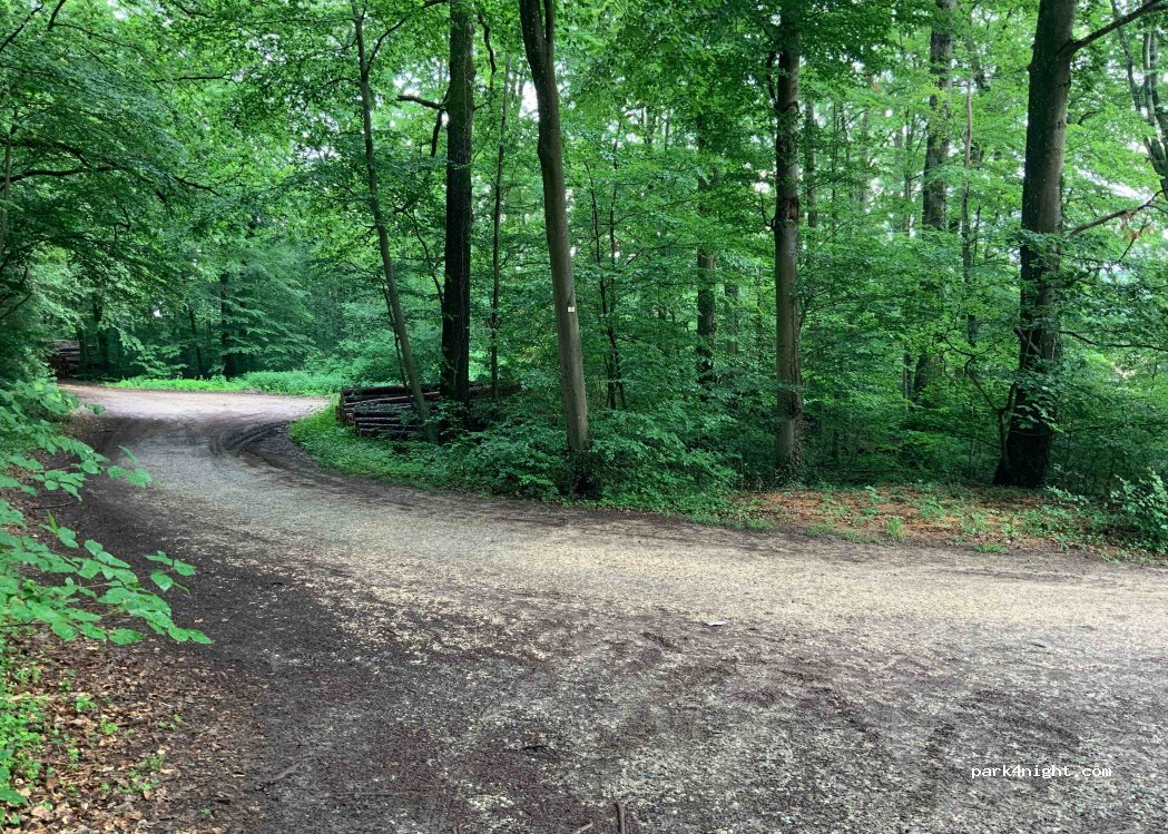 (78224) Singen (Hohentwiel) - K6164 — foto 3