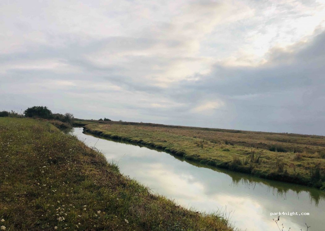 (17320) Marennes-Hiers-Brouage - Unnamed Road — foto