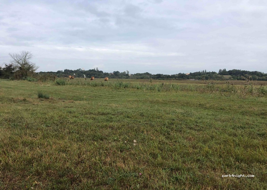 (17320) Marennes-Hiers-Brouage - Unnamed Road — foto 3