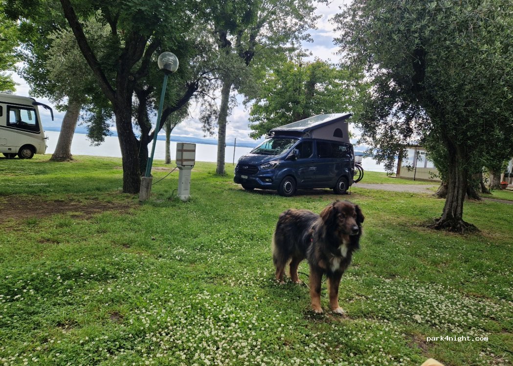 Camping La Spiaggia — foto 3