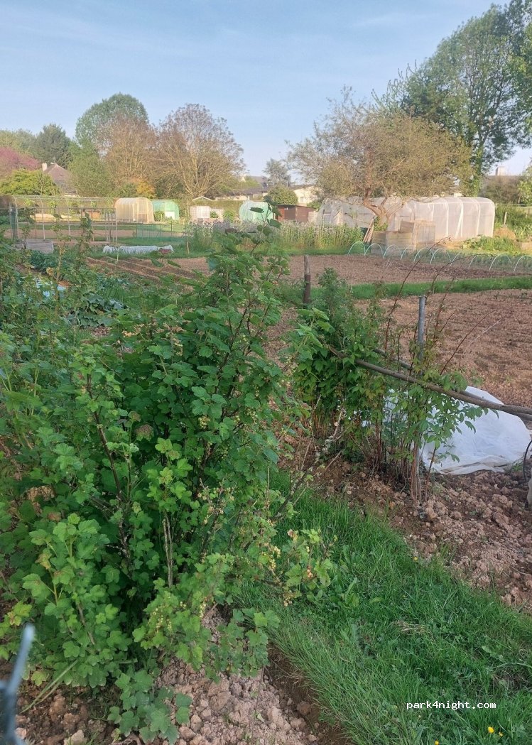 (35770) Vern-sur-Seiche - 10 La Rivière — foto 3