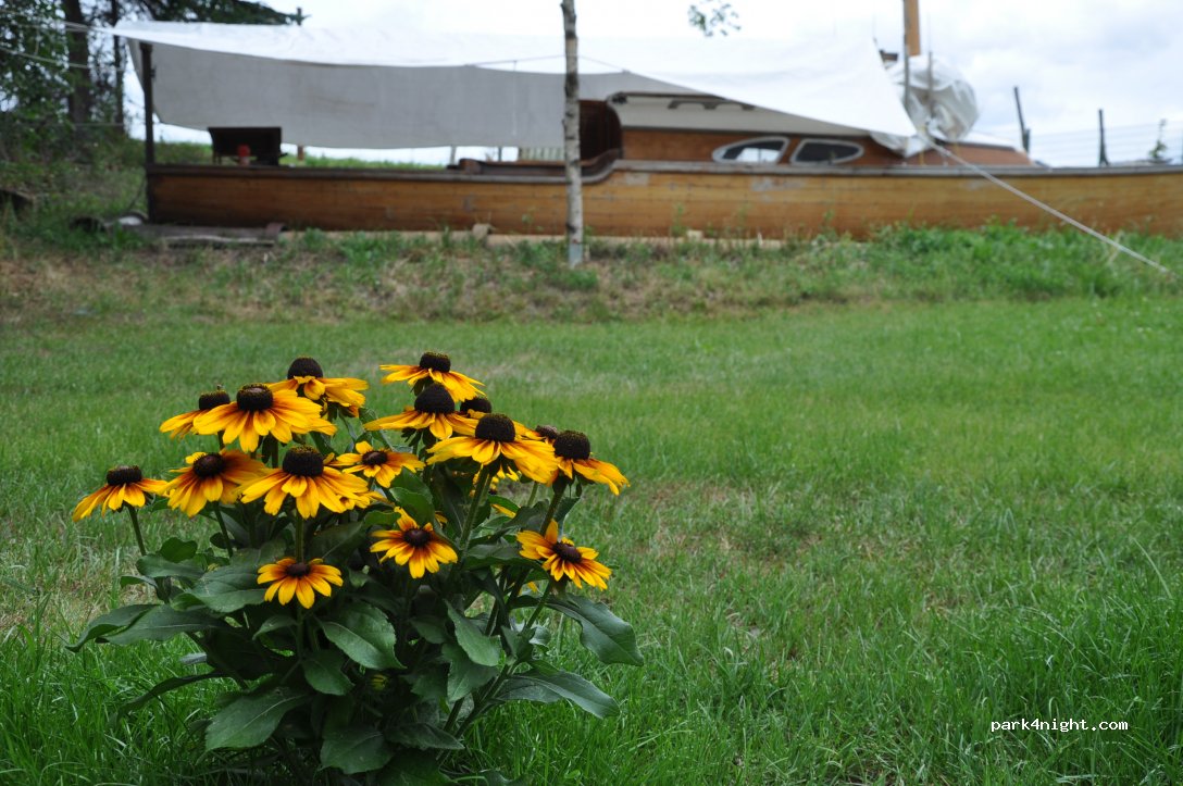 Levihus Camping — foto 2