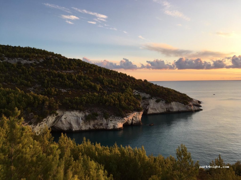 (71019) Vieste - Strada Provinciale Mattinata -Vieste — foto