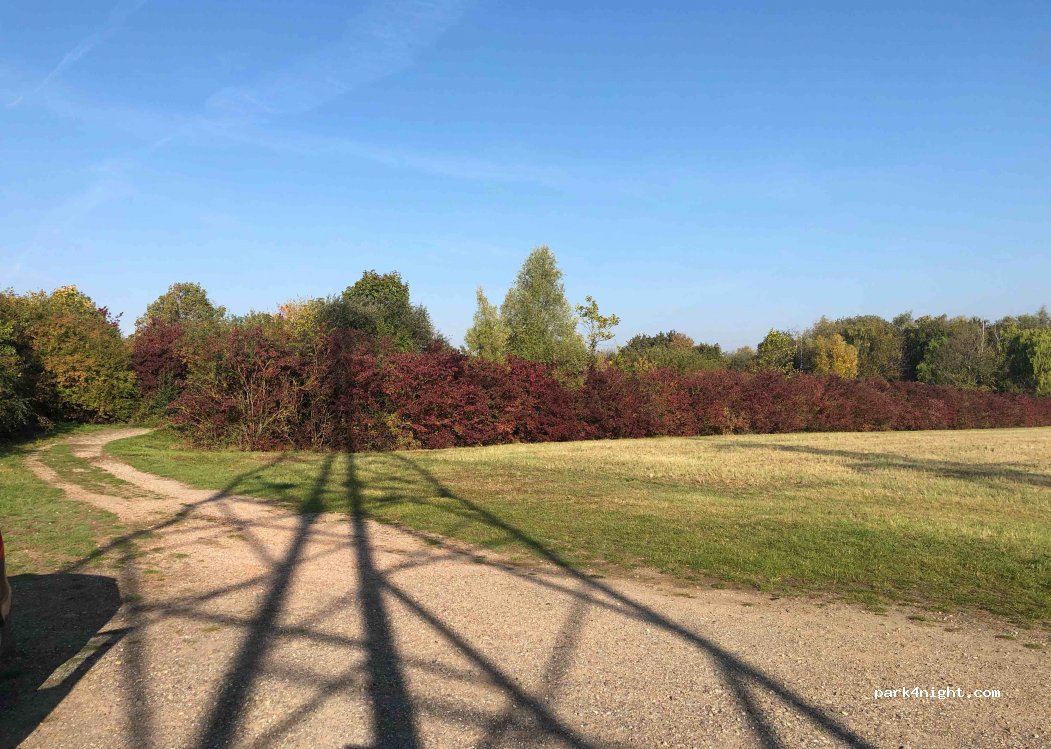 (38442) Wolfsburg - 14 Erich-Netzeband-Straße — foto