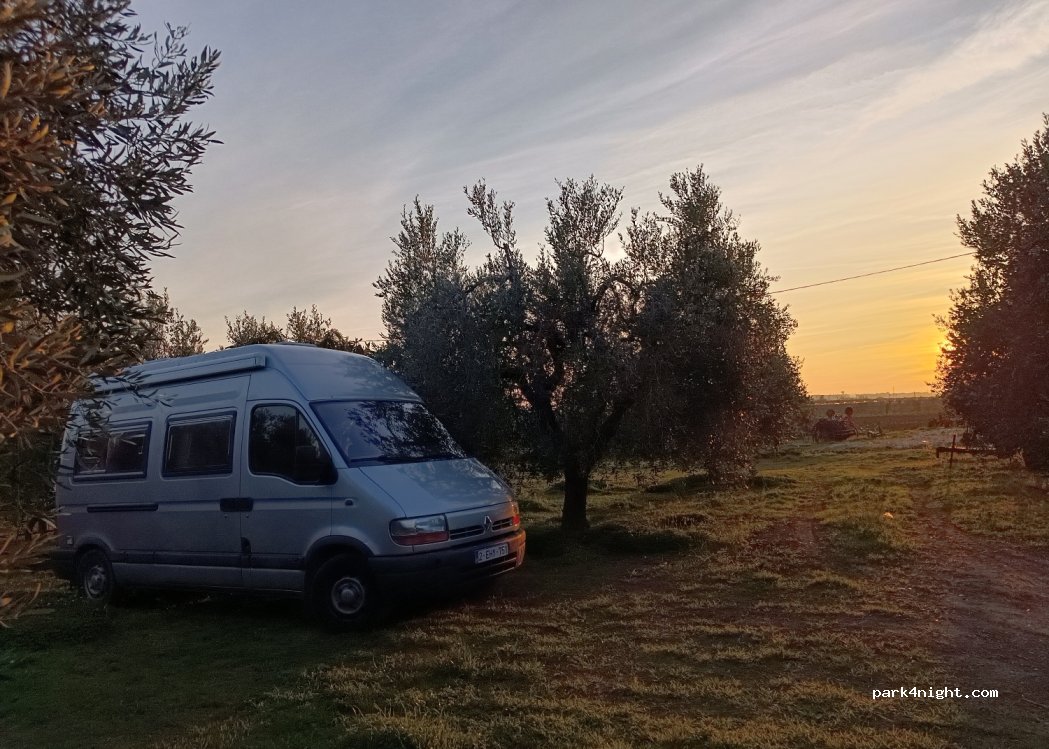 Oleificio Di Vito — foto 4