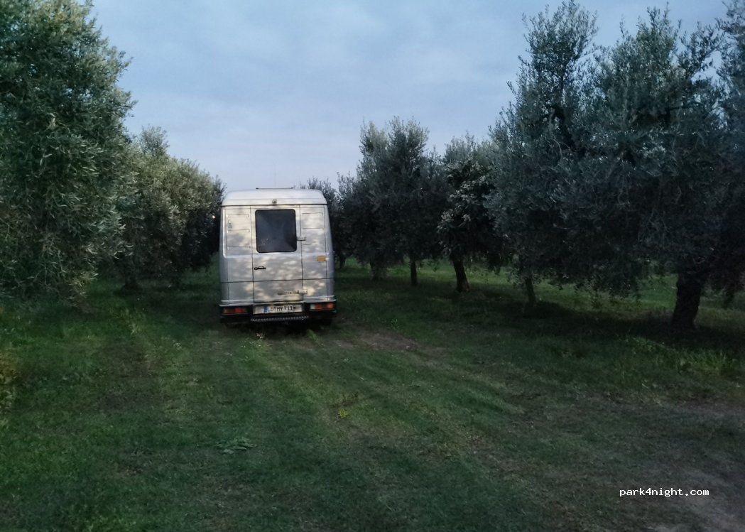 Oleificio Di Vito — foto 5