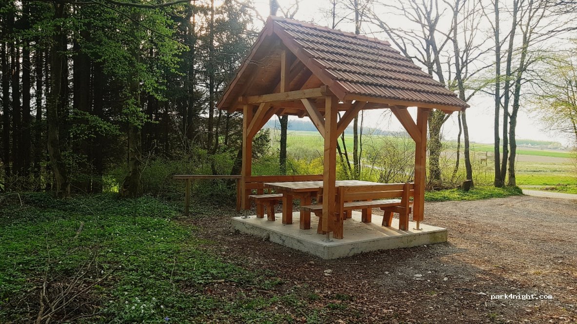 (89264) Stoffenrieder Forst - — foto 2