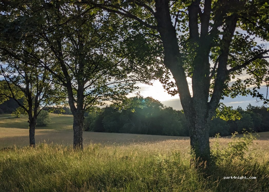Wanderparkplatz Roßbergwiesen — foto 4