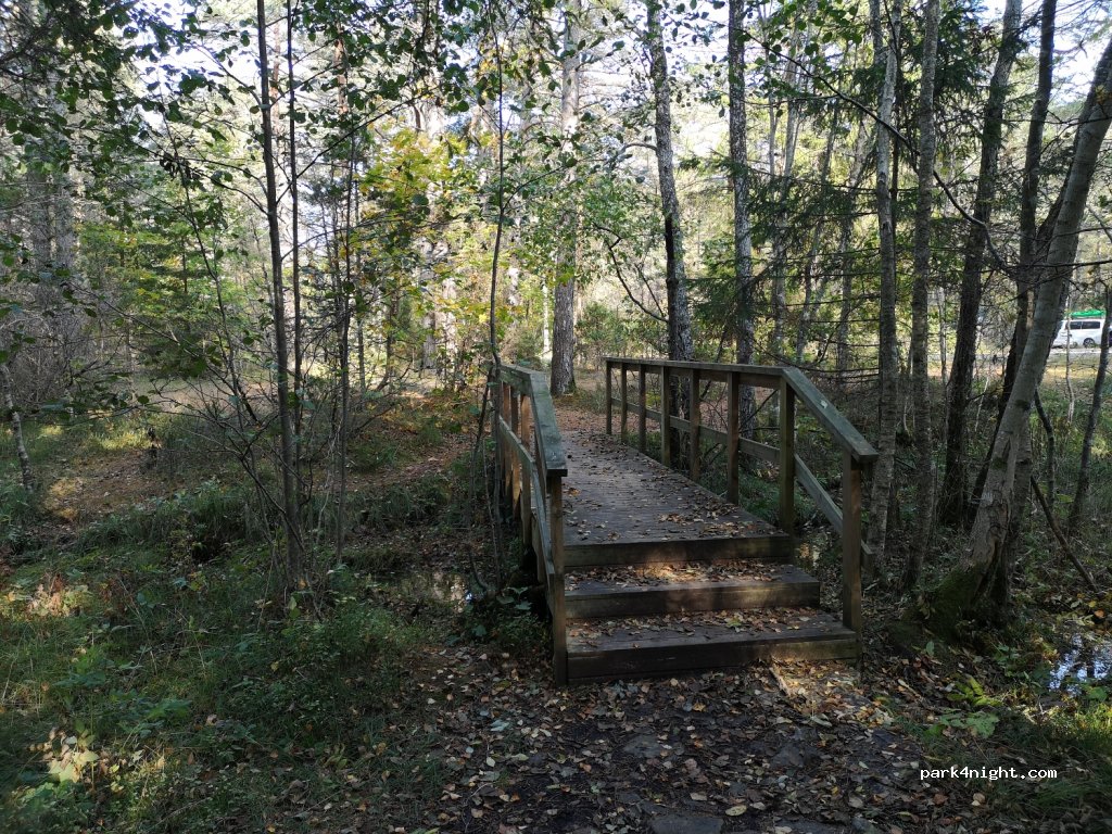 (93468) Odalätsi - — foto