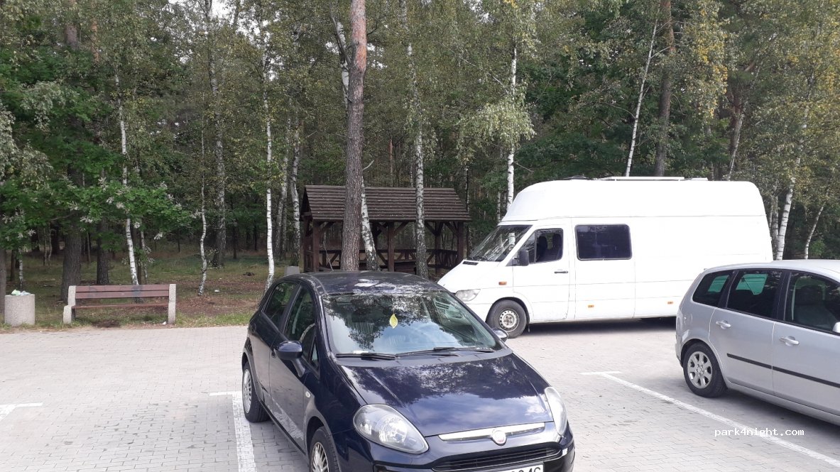 (87-162) Toruń - Leśny Trakt — foto 2