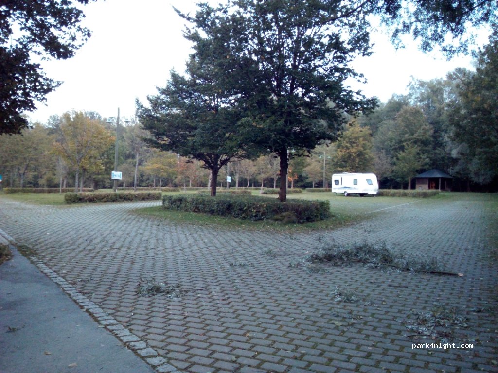 (08265) Erlbach - 1 Waldstraße — foto