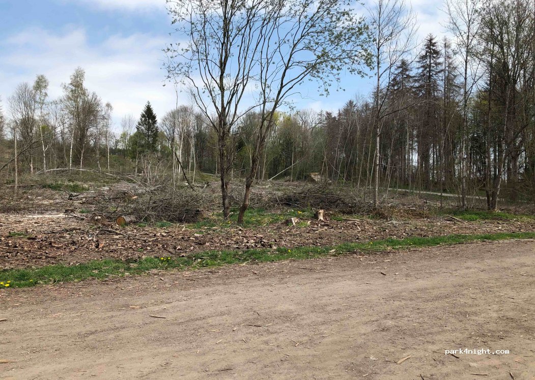 (38875) Elbingerode (Harz) - 15 Unter den Birken — foto 3