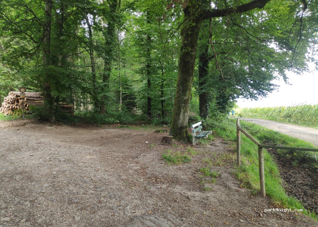 (4562) Biberist - Fiderholzstrasse — foto 2
