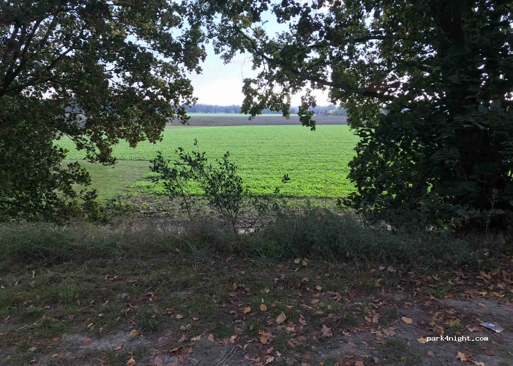 (14624) Dallgow-Döberitz - 1 Dallgower Straße — foto 2