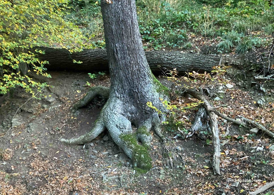 Camping Hohensyburg — foto 2
