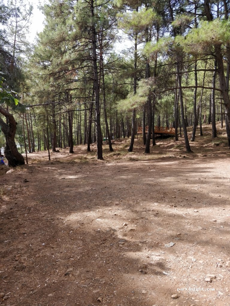 Municipal Campground — foto 2