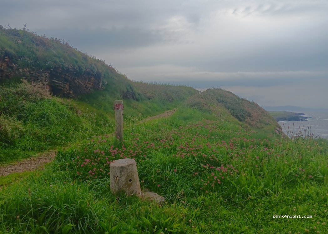 (27797) Ribadeo - Rodríguez Murias — foto 5