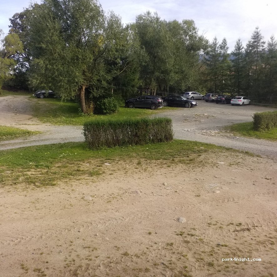 (58-540) Ściegny - — foto