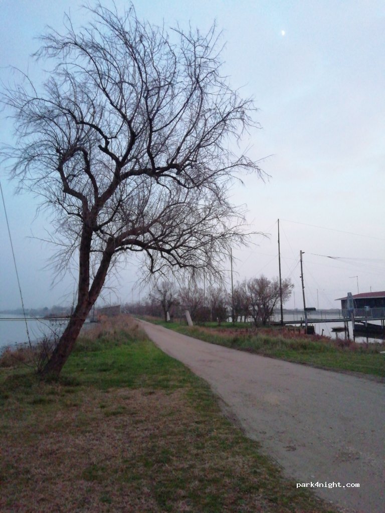 () Lido degli Estensi - — foto 2