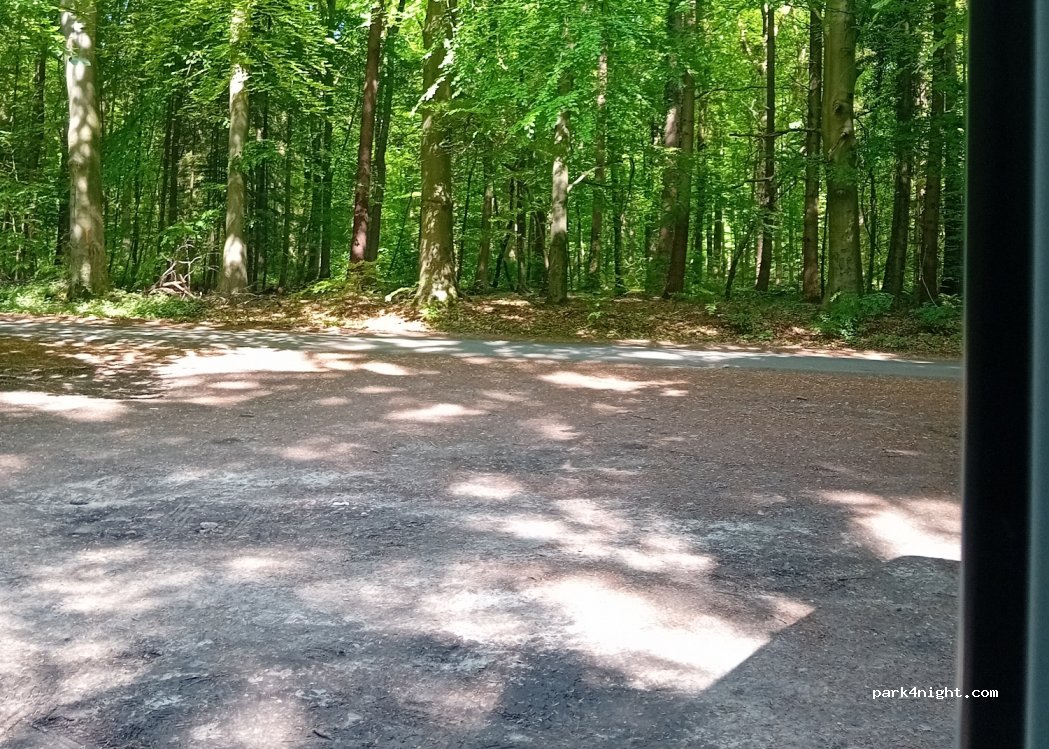 (26427) Moorweg - 2 Buchenallee — foto 4