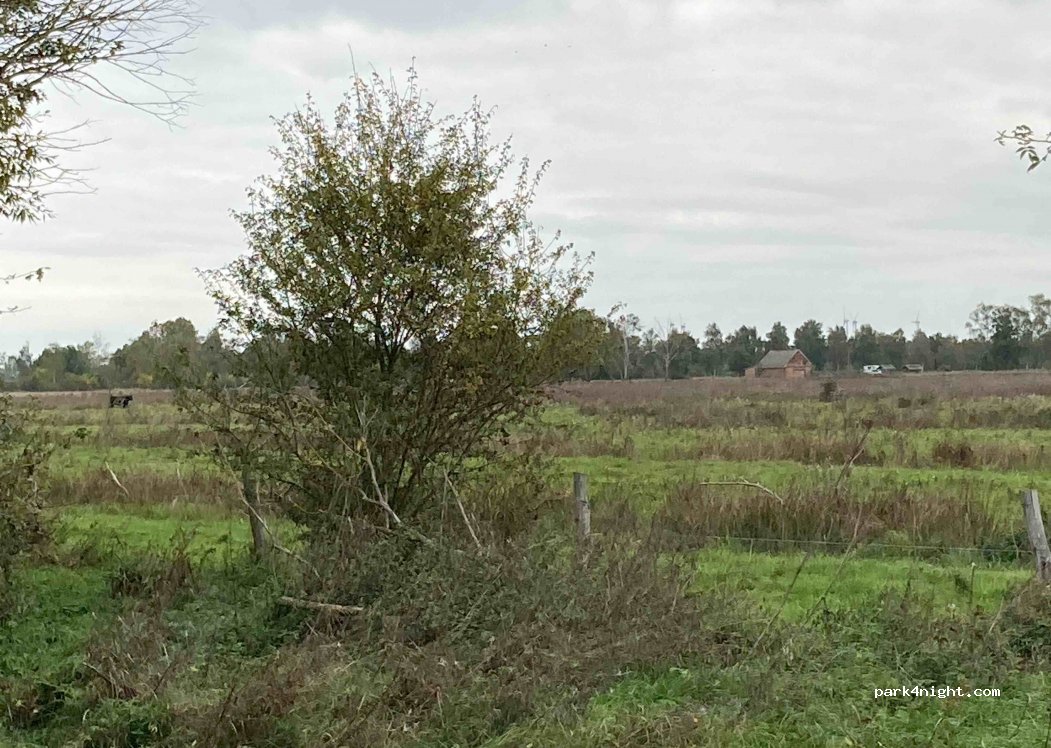 (38486) Klötze - L22 — foto 2