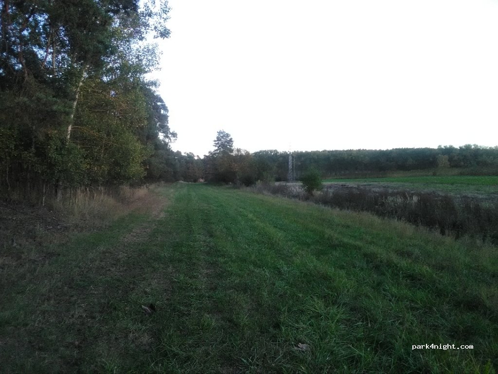 (269 01) Olešná - — foto