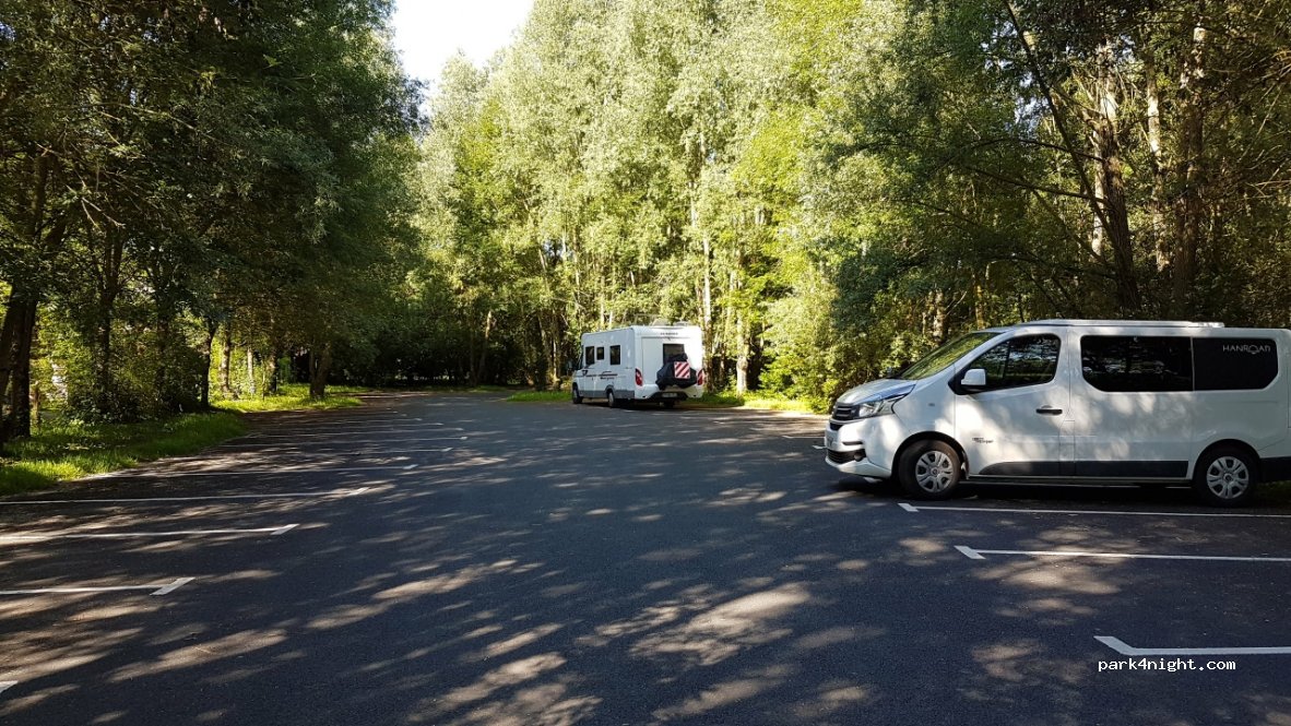 (49170) Béhuard - Rue du Chevalier Buhard — foto