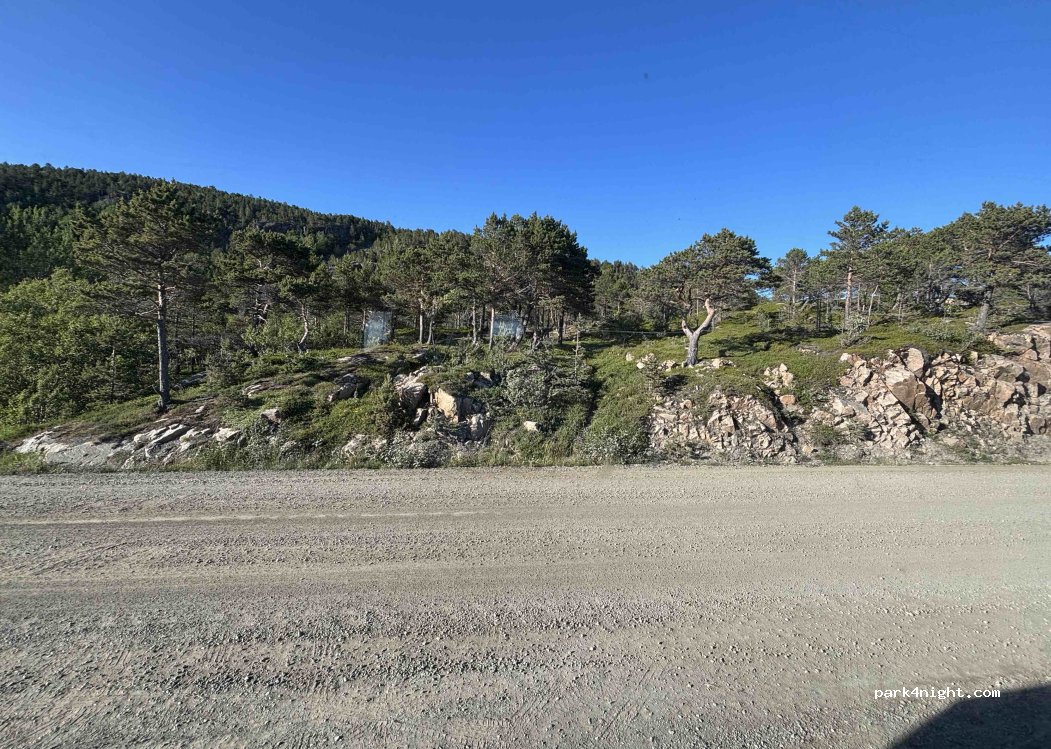 (9376)  - 28 Sekundær Fylkesveg 231 — foto 4