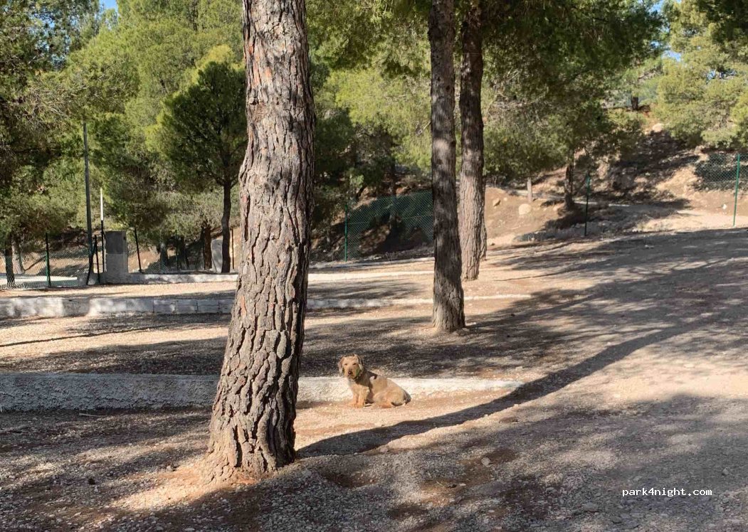 Camping — foto 2