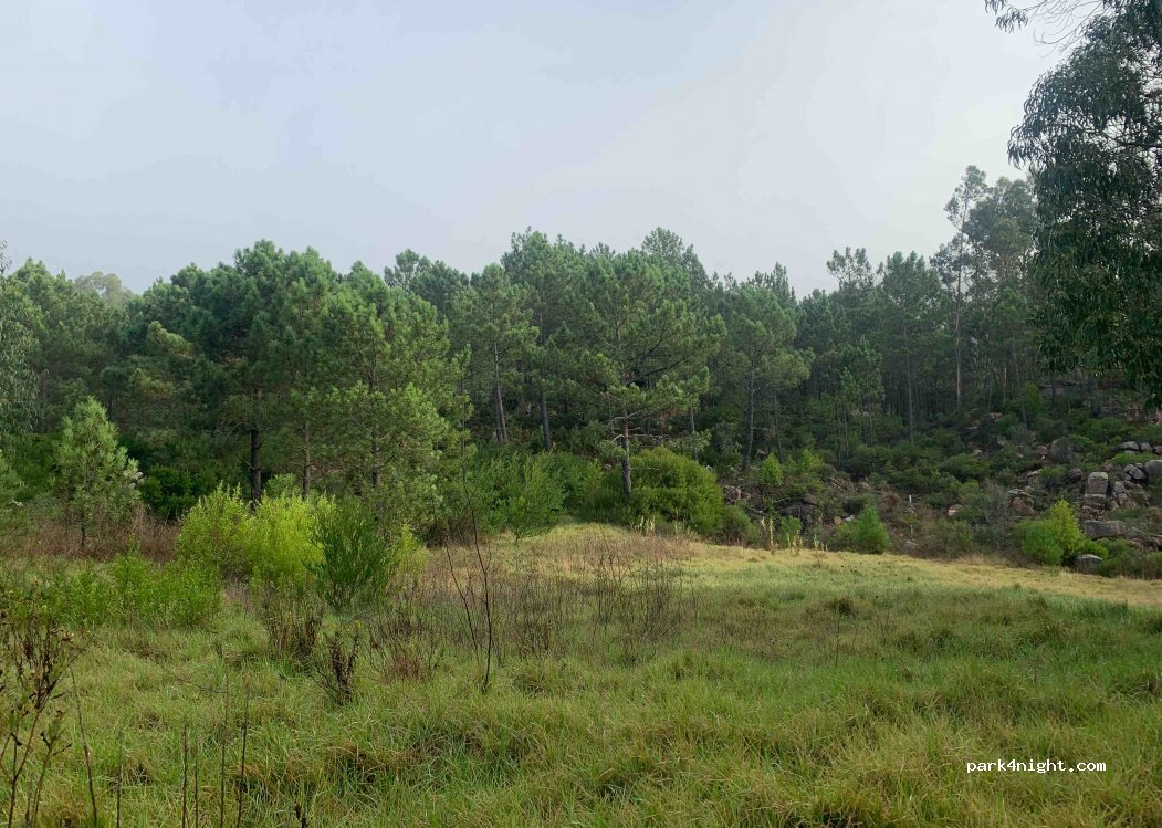 (2710) Sintra - Unnamed Road — foto