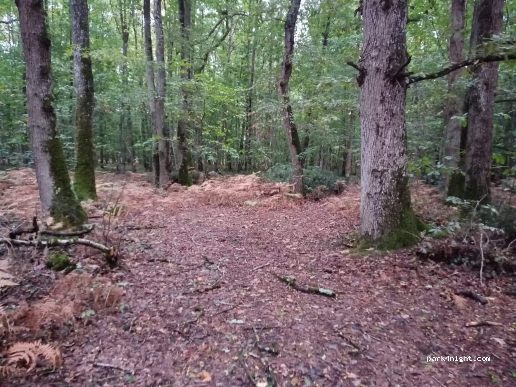 (41140) Saint-Romain-sur-Cher - Unnamed Road — foto