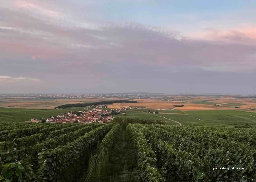 (51500) Écueil - Unnamed Road — foto 4