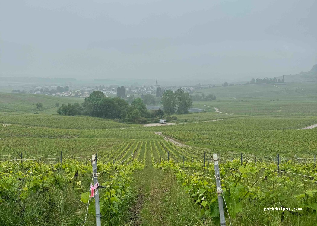 (51500) Chamery - 5 Chemin des Caquerays — foto 4