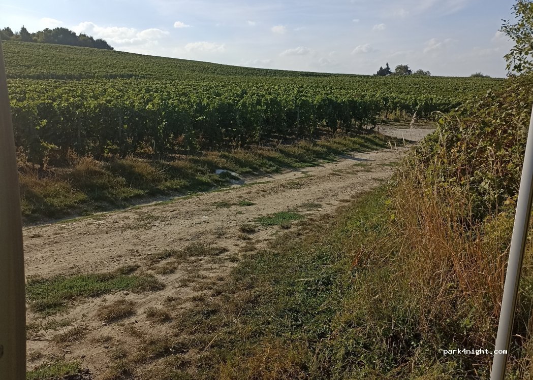 (51500) Sermiers - 28 Rue de Courtaumont — foto 2