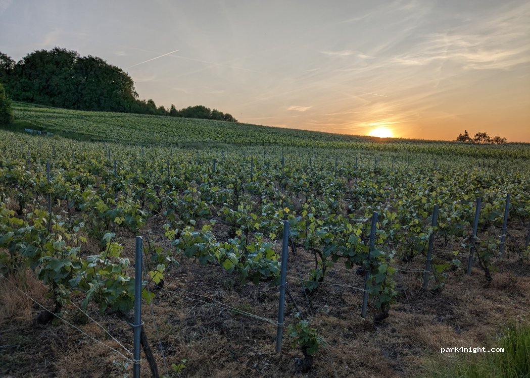 (51500) Sermiers - 28 Rue de Courtaumont — foto 4