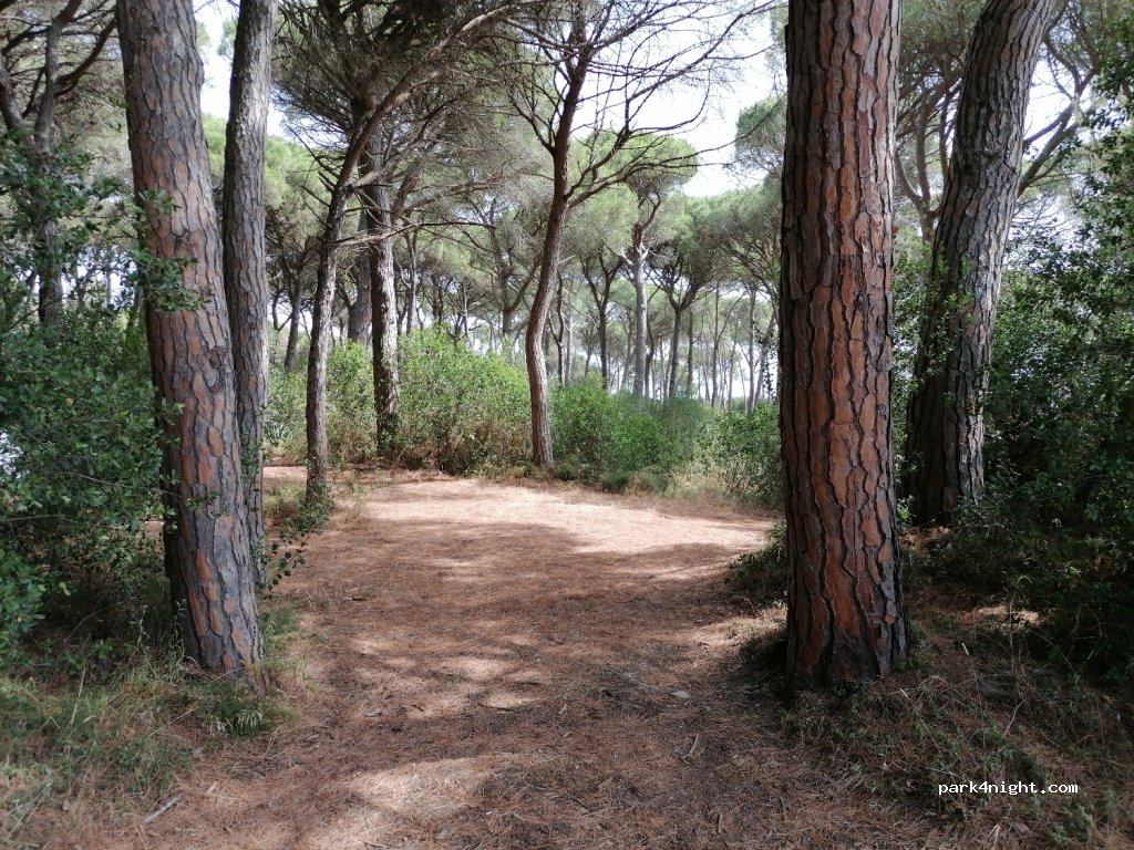 (17256) Pals - 4 Diseminado Barri Bernagar-masos Pals — foto 2
