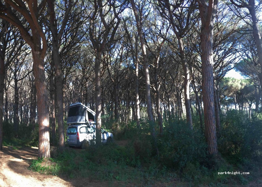 (17256) Pals - 4 Diseminado Barri Bernagar-masos Pals — foto 3