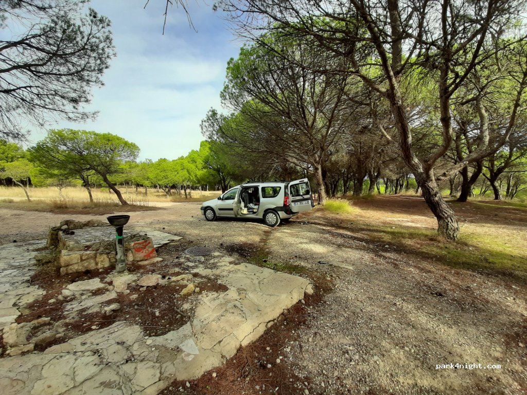 (50007) Zaragoza - 14 Paseo Duque de Alba — foto