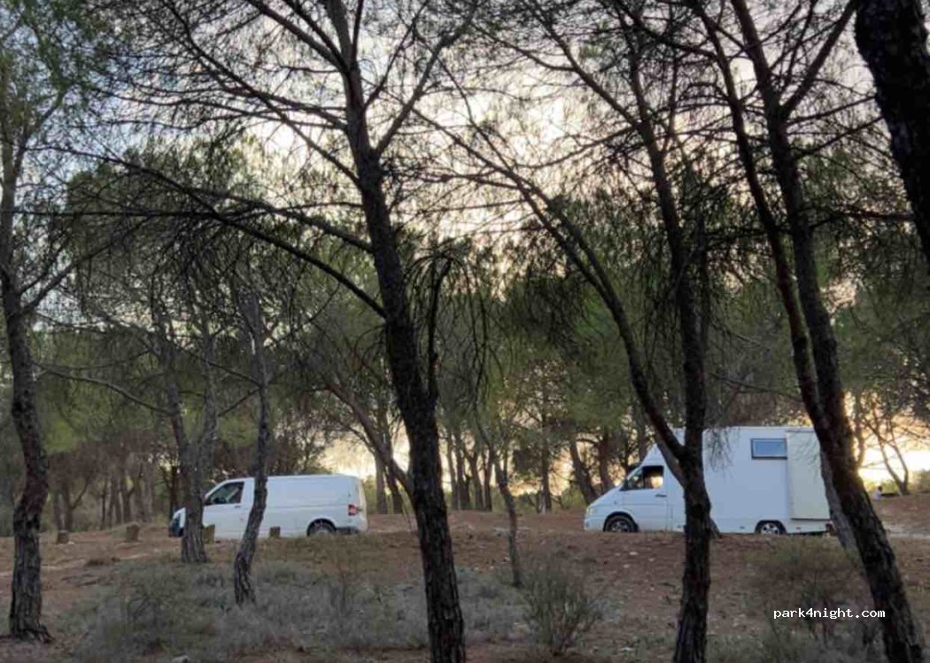 (50007) Zaragoza - 14 Paseo Duque de Alba — foto 2