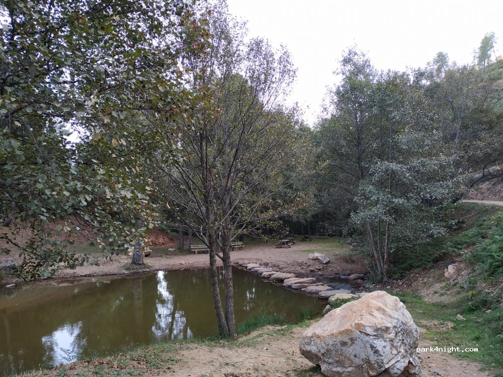 (10136) Cañamero - CC-21.1 — foto 2
