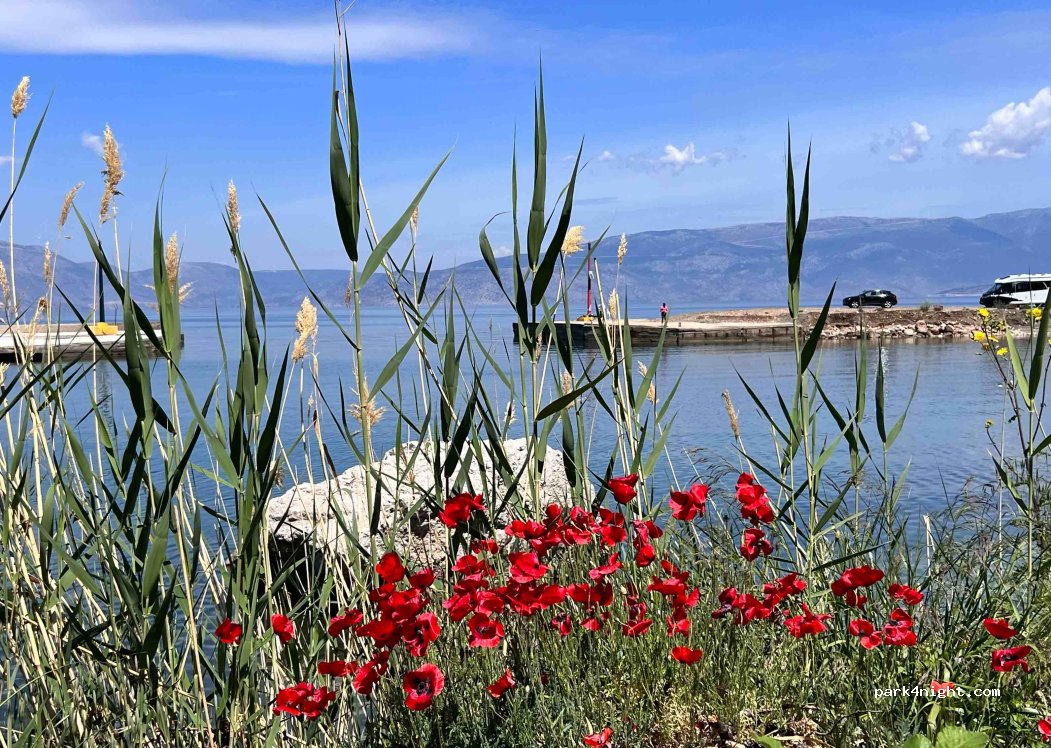 (20300) Municipal Unit of Loutraki - Perachora - Αλεποχώρι - Σχίνος — foto 2